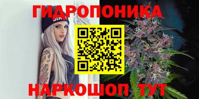 мдма Гатчина