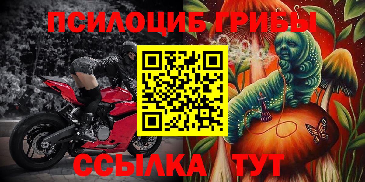 Псилоцибиновые грибы Psilocybine cubensis Заречный