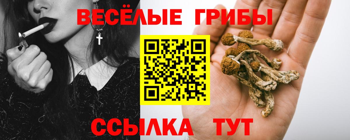 Псилоцибиновые грибы мицелий  Вход с VPN  Заречный  Псилоцибиновые грибы GOLDEN TEACHER 